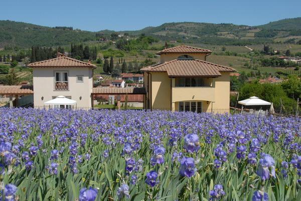 Casa Rosa Villa Greve in Chianti Eksteriør bilde
